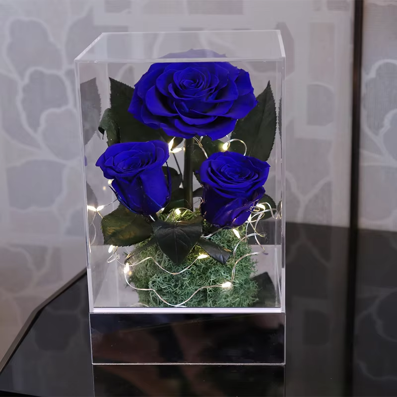 Forever Flowers Real Eternal Roses Preserved Flowers Gift with LED Mood Lights for Valentine's Day Birthday Anniversary, Elegant Present for Girlfriend Wife Mom Women (Sparkle Red)